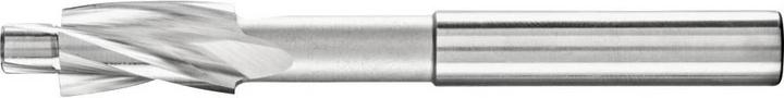 Actual product image Pferd FLS HSS DIN 373 10,0 F 25203102 Counterbore 10mm HSS 1pce. (10 millimetres)