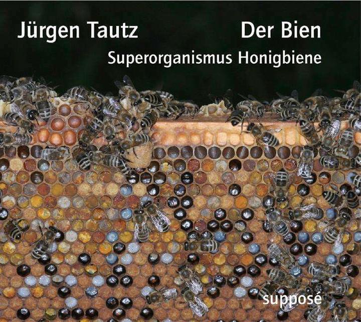 Produktbild Der Bien (Deutsch, Jürgen Tautz, 2007)