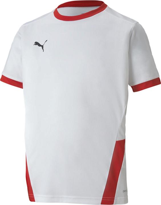 Actual product image Puma teamGOAL 23 Jersey jr-704160 (164)