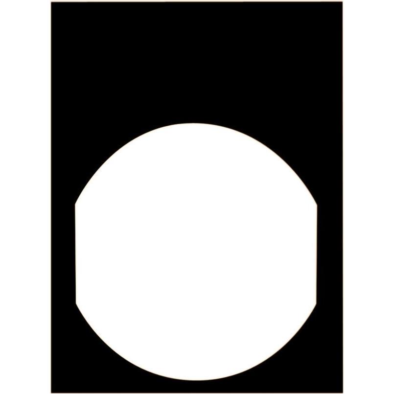 Schneider Electric Schild 30x40mm, schwarz, für weisse Beschriftung, Pulsante + Interruttore, Nero