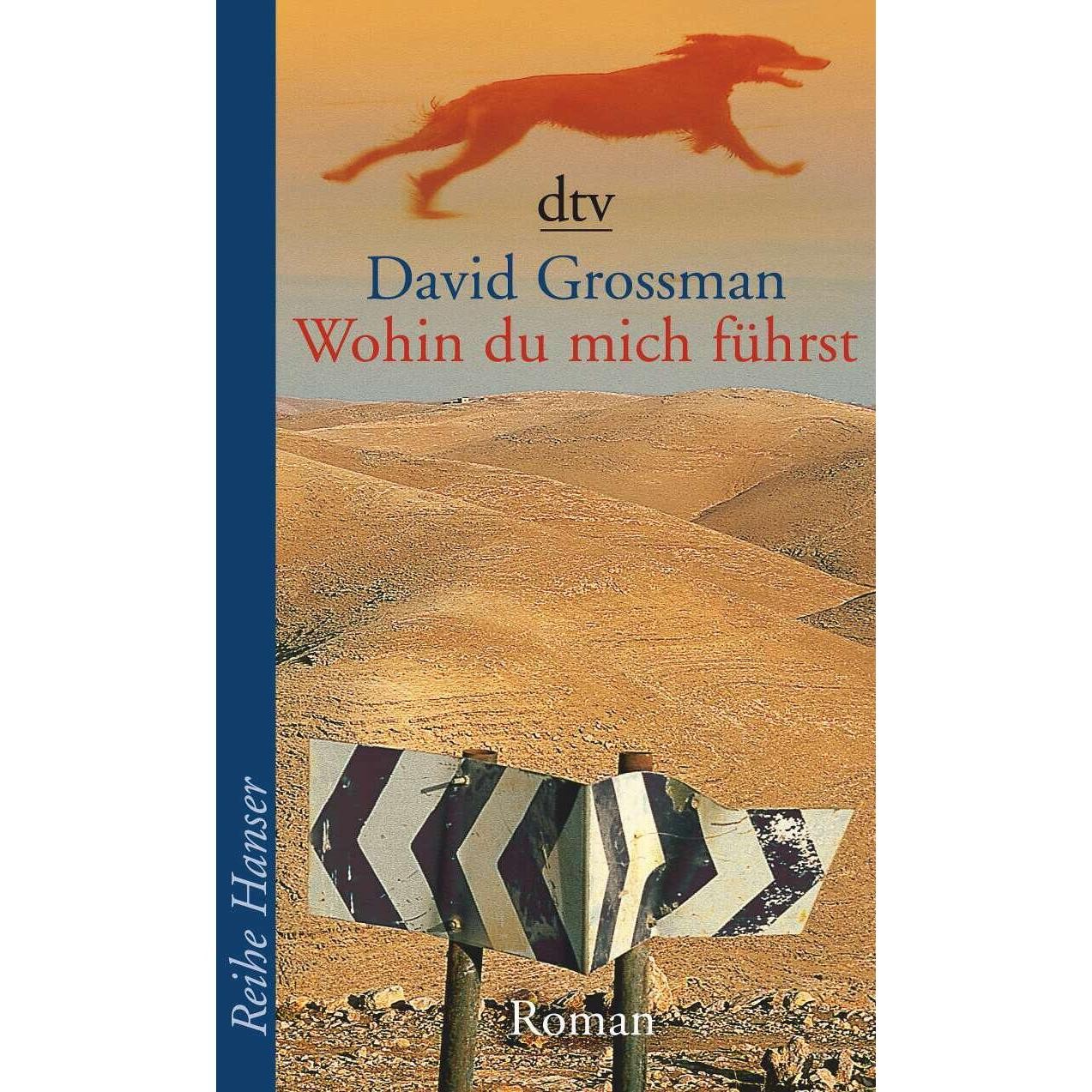 Wohin du mich führst, Belletristik von David Grossman, Vera Loos, Naomi Nir-Bleimling
