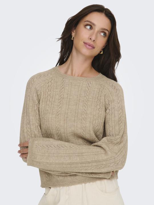 Image du produit JdY JDYAPRIL Strickpullover Strickpullover (XXL)
