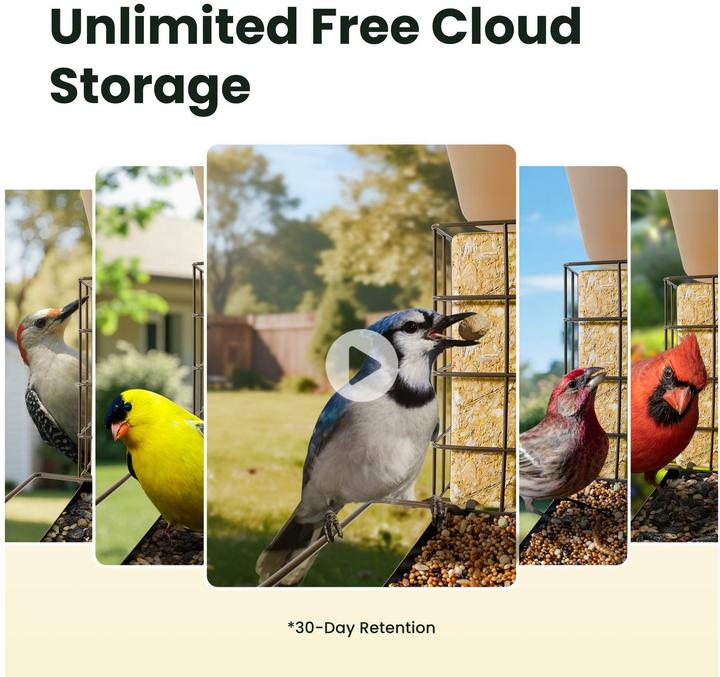 Produktbild Birdfy Futterspender mit Kamera