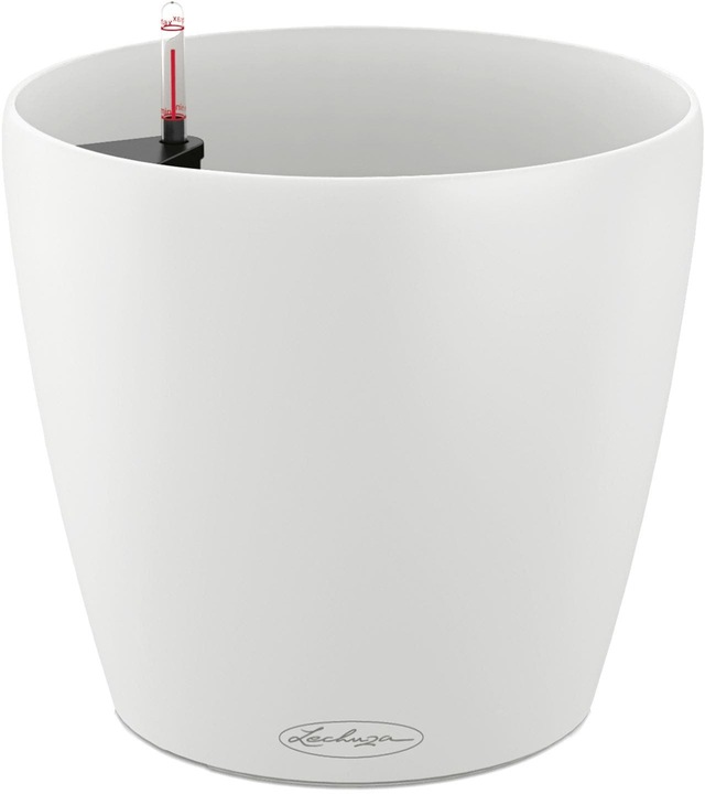 Actual product image Lechuza Classico Color (27.50 cm)