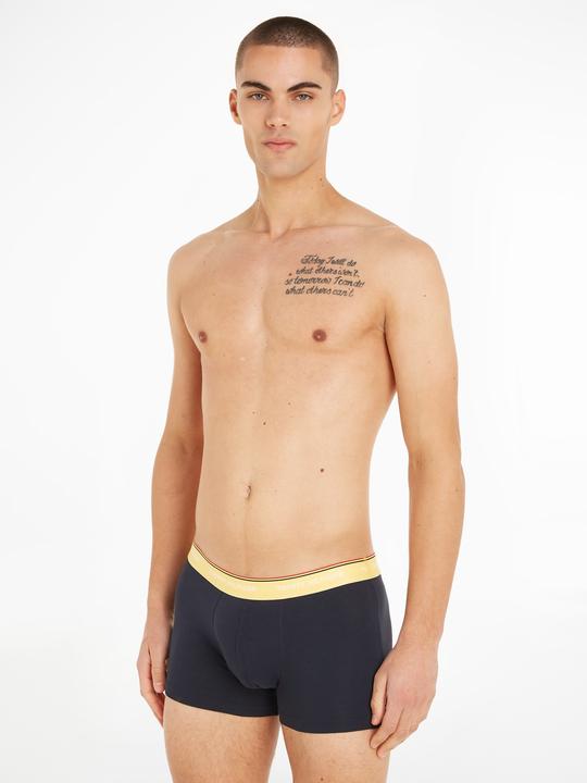 Image du produit Tommy Hilfiger Trunk WB (L)
