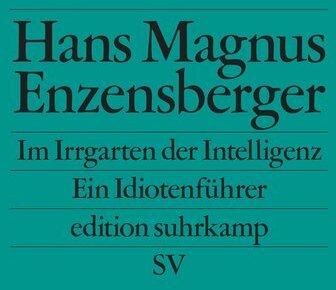 Produktbild Im Irrgarten der Intelligenz (Deutsch, Hans Magnus Enzensberger, 2007)
