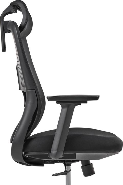 Produktbild Beliani Ervione (40 - 50 cm)