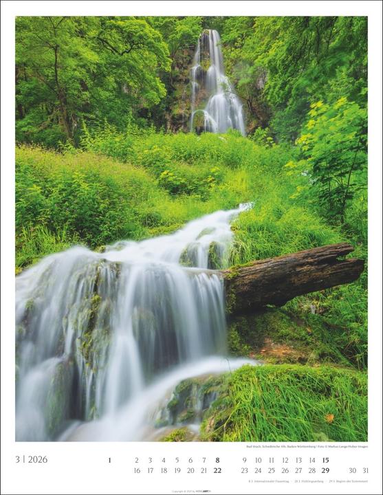 Produktbild Heimische Wälder Kalender 2026 (34 x 44 cm, Harter Einband, Deutsch)