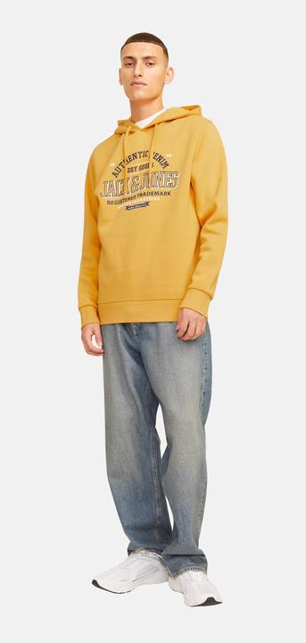 Produktbild Jack & Jones JJELOGO SWEAT HOOD 2 COL 24/25 NOOS (S)