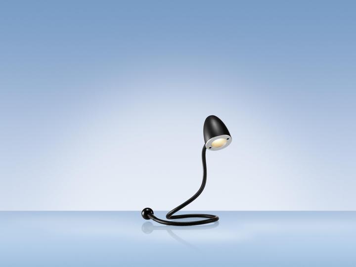 Actual product image Hansa Snake (100 lm)