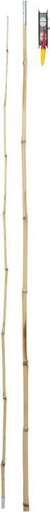 Produktbild Winfun ANGELRUTE 2 TEILE 2.5M (130 cm)