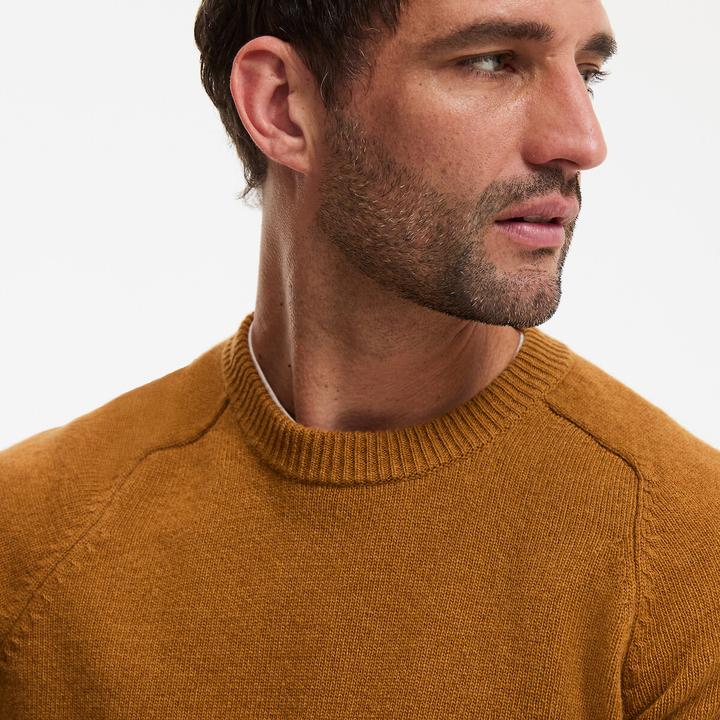 Actual product image La Redoute Collections Signature Rundhalspullover ELIOT (M)