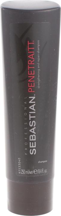 Sebastian The Foundation Range Penetraitt stärkendes Haar (250 ml, Flüssiges Shampoo)