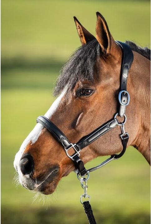 Produktbild HFI Master Wave