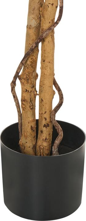 Immagine prodotto Beliani Sakura (150 cm)