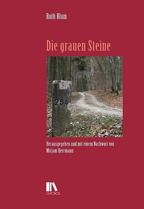 Produktbild Die grauen Steine (Deutsch, Ruth Blum, 2018)