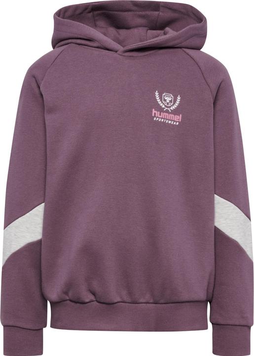 Produktbild hummel hmlJR LOOSE HOODIE BTS (146, 152)