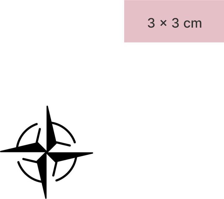 Actual product image minink Temporary tattoo - Compass