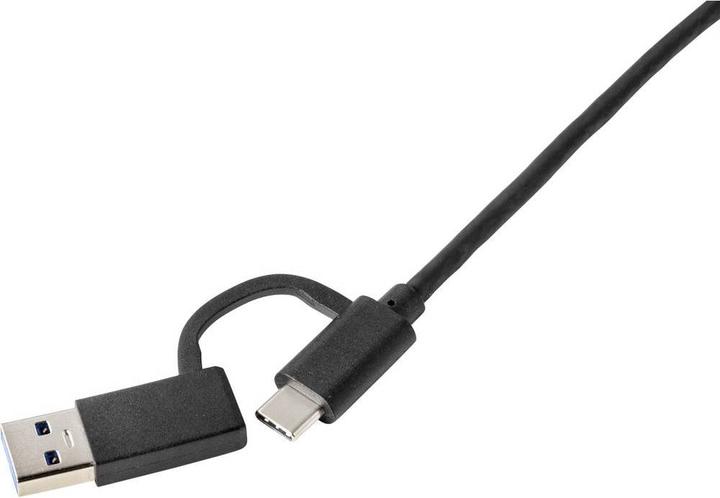Renkforce RF-4715072 (USB Typ-C, HDMI, DVI, USB-A, 4.60 cm)