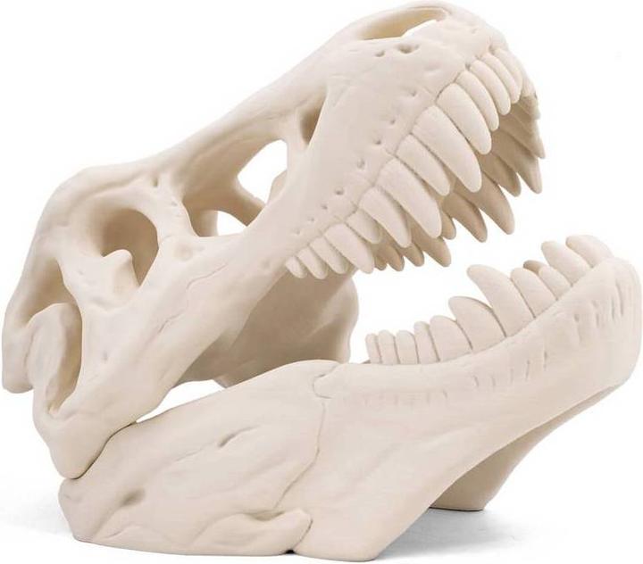 Image du produit 3D Xtech BON2010750W Simubone Modeling Filament PLA 1.75 mm 750 g blanc 1 pc. (PLA, 1.75 mm, 750 g, Blanc)