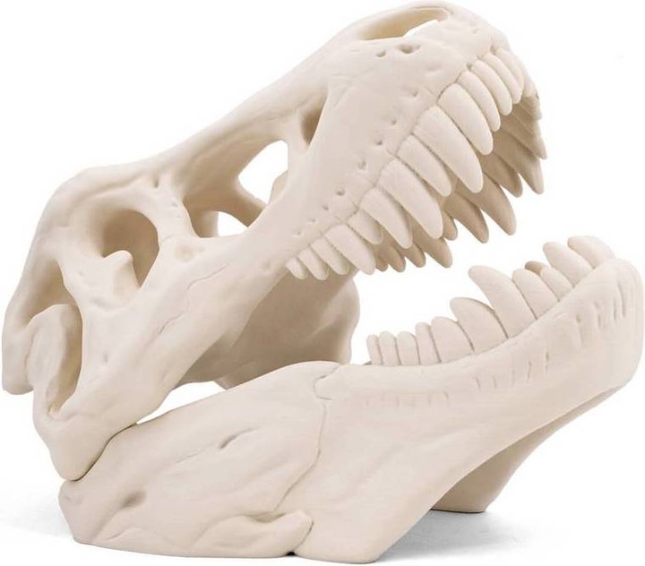 Actual product image 3D Xtech BON2010750W Simubone Modeling Filament PLA 1.75 mm 750 g White 1 pc. (PLA, 1.75 mm, 750 g, White)