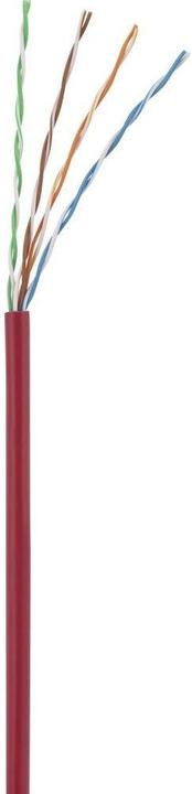 Actual product image Renkforce RF-5044012 RJ45 network cable, patch cable CAT 5e U/UTP 3.00 m Red with (U/UTP, CAT5e, 3 m)