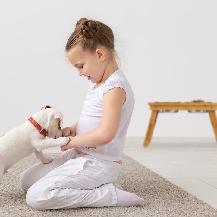 Immagine prodotto Relaxdays Ciotole Rialzate, per Cani di Media Taglia (0.70 l)