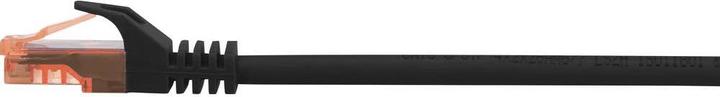 Image du produit Renkforce RF-5044002 RJ45 Câble réseau Câble patch CAT 6 U/UTP 10.00 m Noir Sans halogène (U/UTP, CAT6, 10 m)