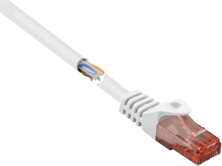 Renkforce RF-5044026 Câble réseau RJ45 Câble patch CAT 6 U/UTP 10.00 m blanc avec (U/UTP, CAT6, 10 m)
