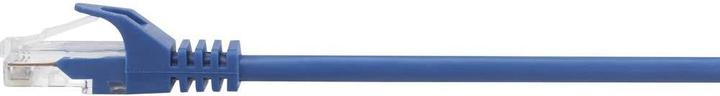 Actual product image Renkforce RF-5042666 RJ45 network cable, patch cable CAT 5e U/UTP 5.00 m Blue with (U/UTP, CAT5e, 5 m)