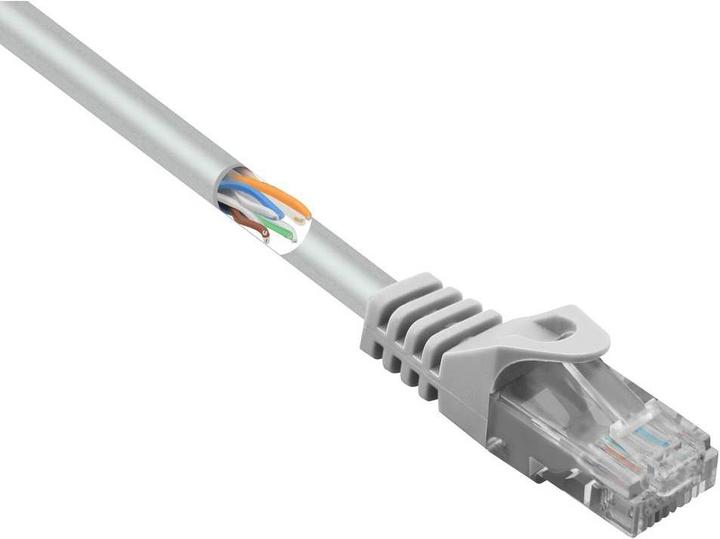Actual product image Renkforce RF-5043980 RJ45 network cable, patch cable CAT 5e 3.00 m Grey with latch (U/UTP, CAT5e, 3 m)
