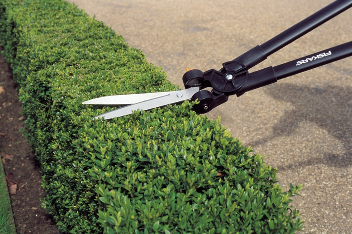 Actual product image Fiskars Scissor Stork GS53