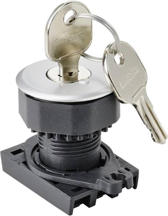 Actual product image Tru Components S3KF-2DS Key switch front element key silver 1 x 90° 1 pc.
