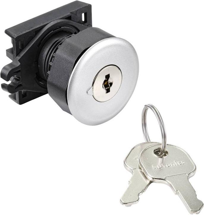 Actual product image Tru Components S3KF-2DS Key switch front element key silver 1 x 90° 1 pc.