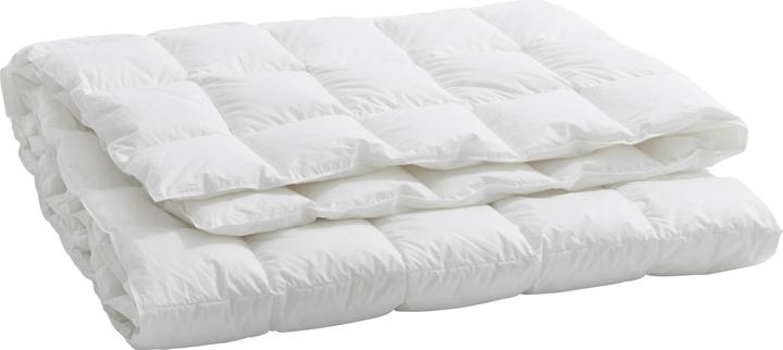 Immagine prodotto Billerbeck Lugano 100 (430 g, 240 x 240 cm)