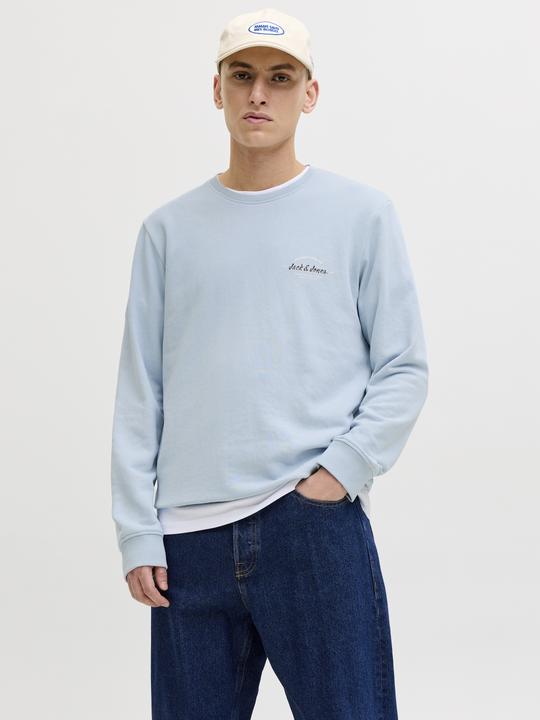 Image du produit Jack & Jones Pull à col rond JJBrandon (S)