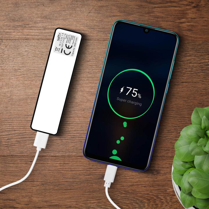 Image du produit Avizar Mini-Powerbank 2600 mAh USB-A Stick (2600 mAh)