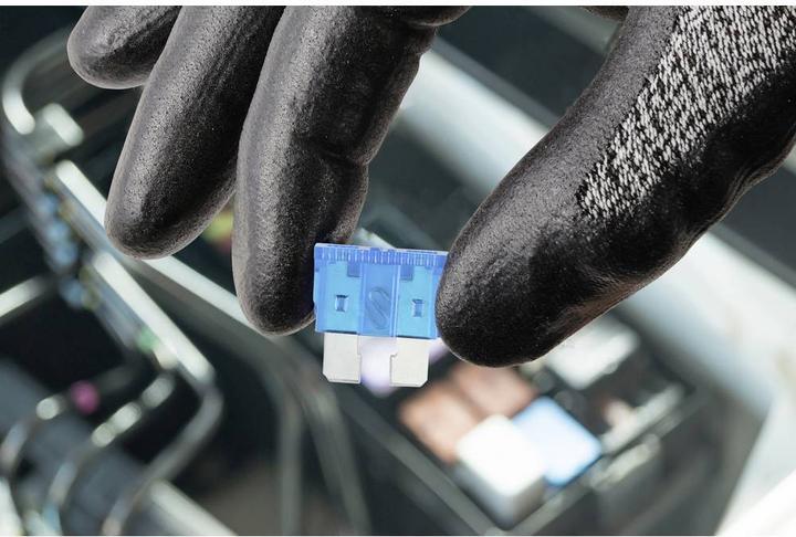 Actual product image Tru Components Flat fuse set, standard 100 pieces (30 A)