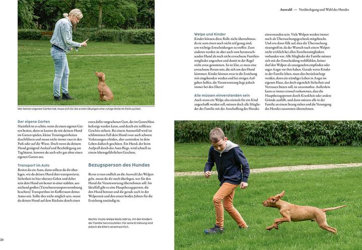 Immagine prodotto Kosmos Welpentraining mit Martin Rütter (Tedesco, Martin Rütter, 2022)