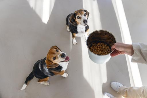 Image du produit Designed by Lotte Conteneur d'aliments pour animaux Canisto