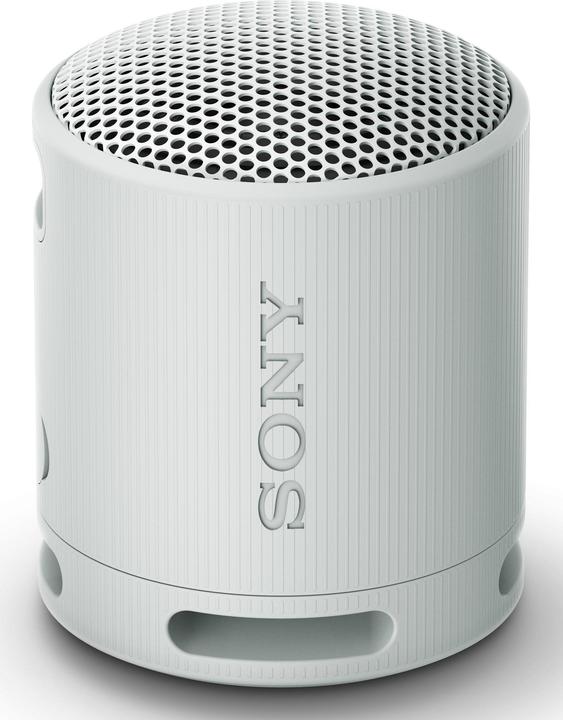 Sony SRS-XB100 (16 h, Rechargeable battery operated)