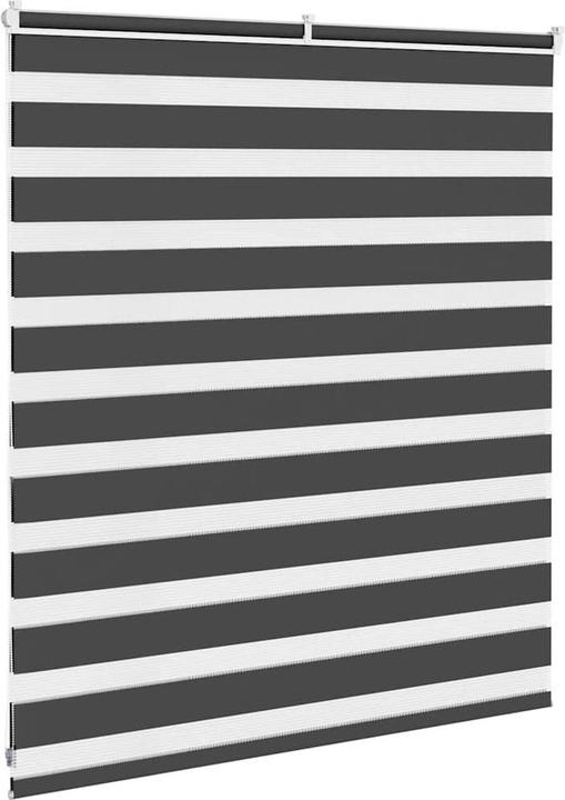 Image du produit vidaXL Zebra-Jalousie (120 x 100 cm)