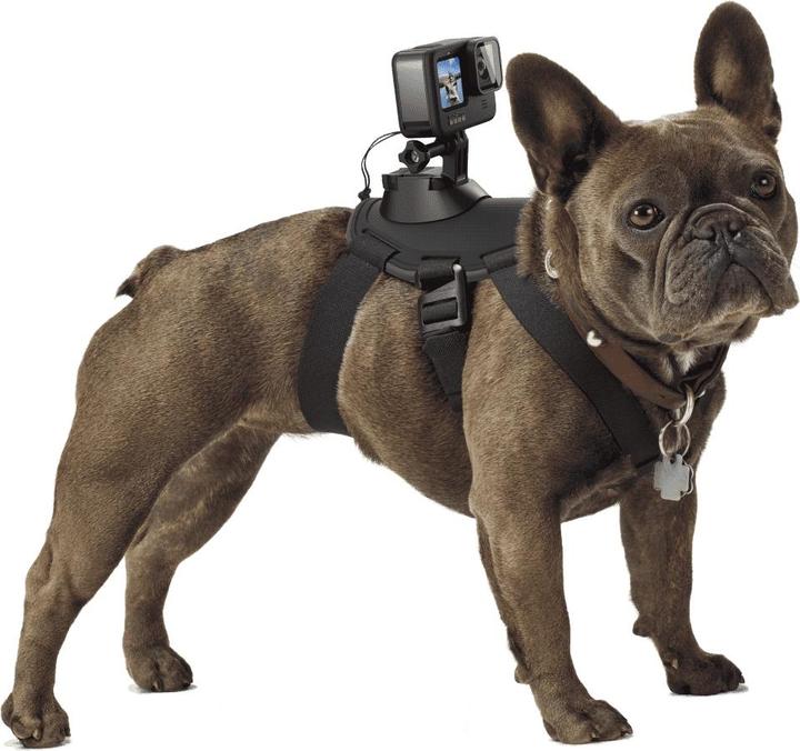 Immagine prodotto GoPro Imbracatura per cani Fetch (Universale, Eroe 7, Azione Osmo)