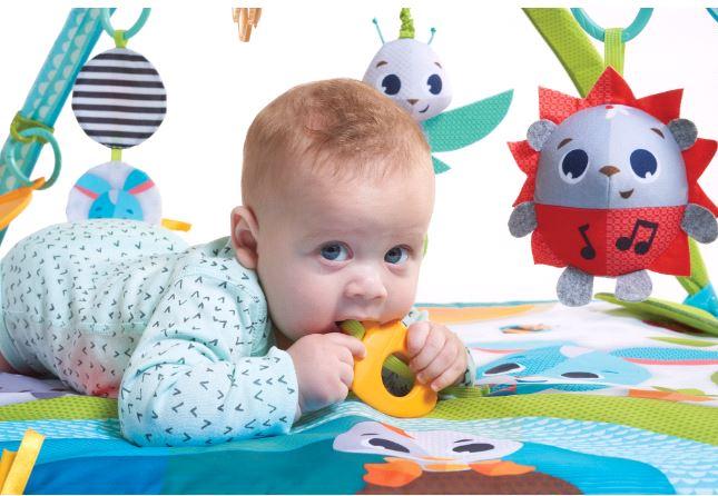 Immagine prodotto Tiny Love Gymini Sunny Day Meadow Days