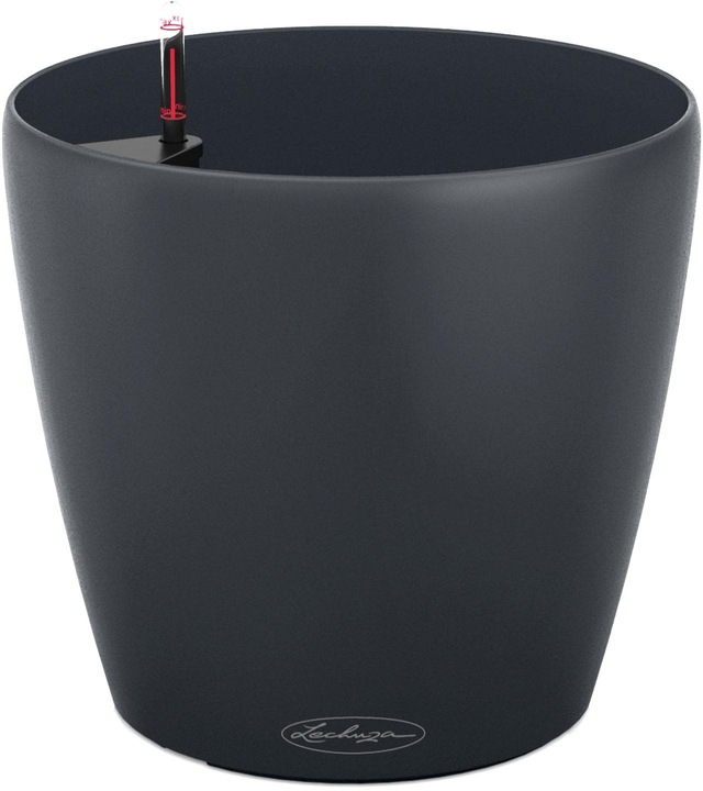 Lechuza Classico Color (21.50 cm)