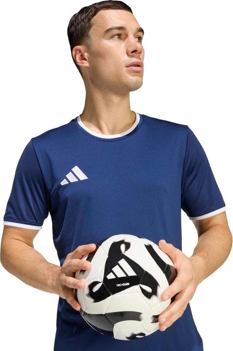 Actual product image Adidas Entrada T-Shirt (XL)
