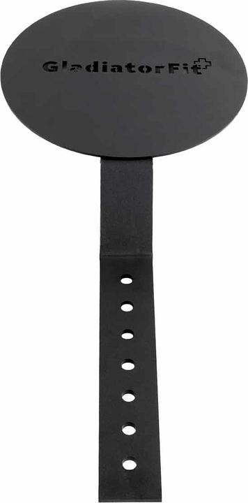 Immagine prodotto Gladiatorfit Obiettivo palla a muro (8 kg, 400 mm)