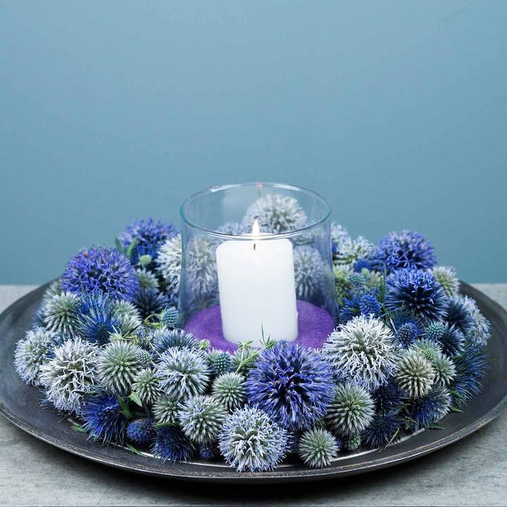 Actual product image Oasis ECObase Ring