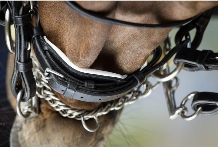 Immagine prodotto HFI Master Weymouth