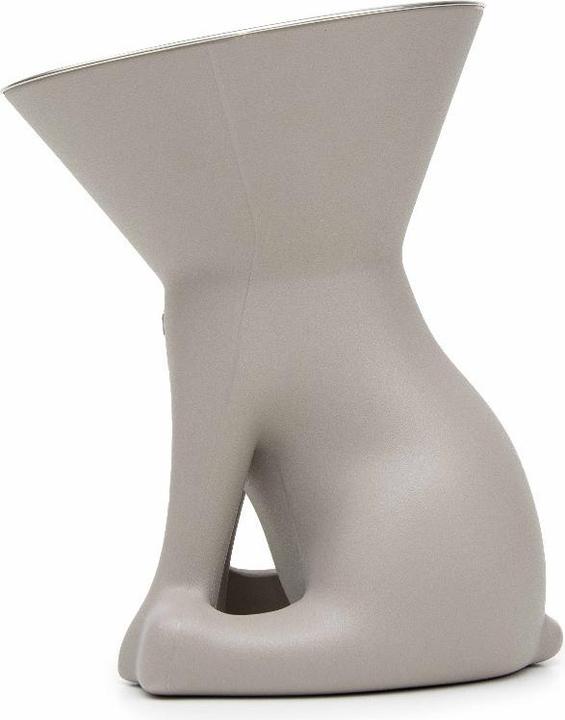 Grey, Gris, Gris colombe, Tourterelle des bois